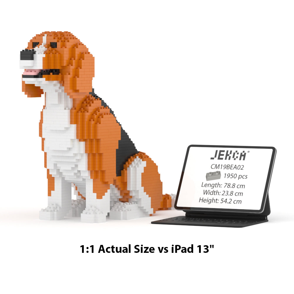 小獵犬02