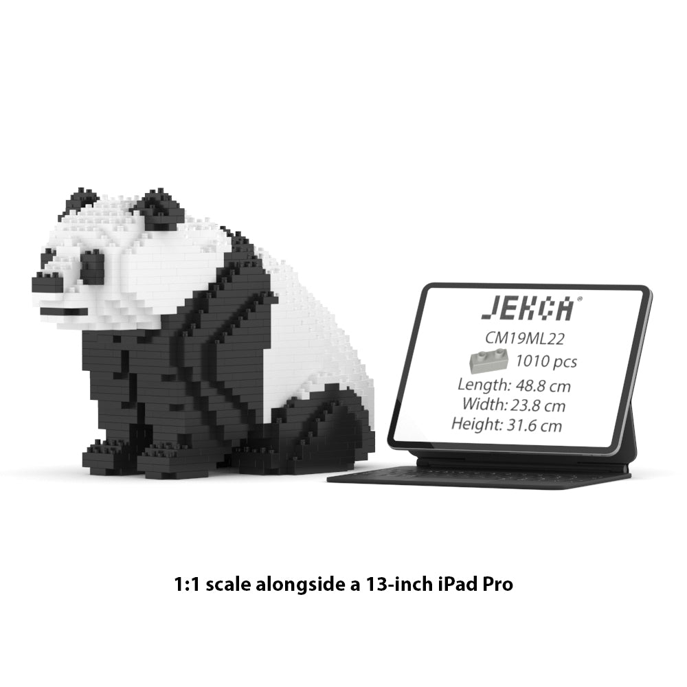 大熊貓04