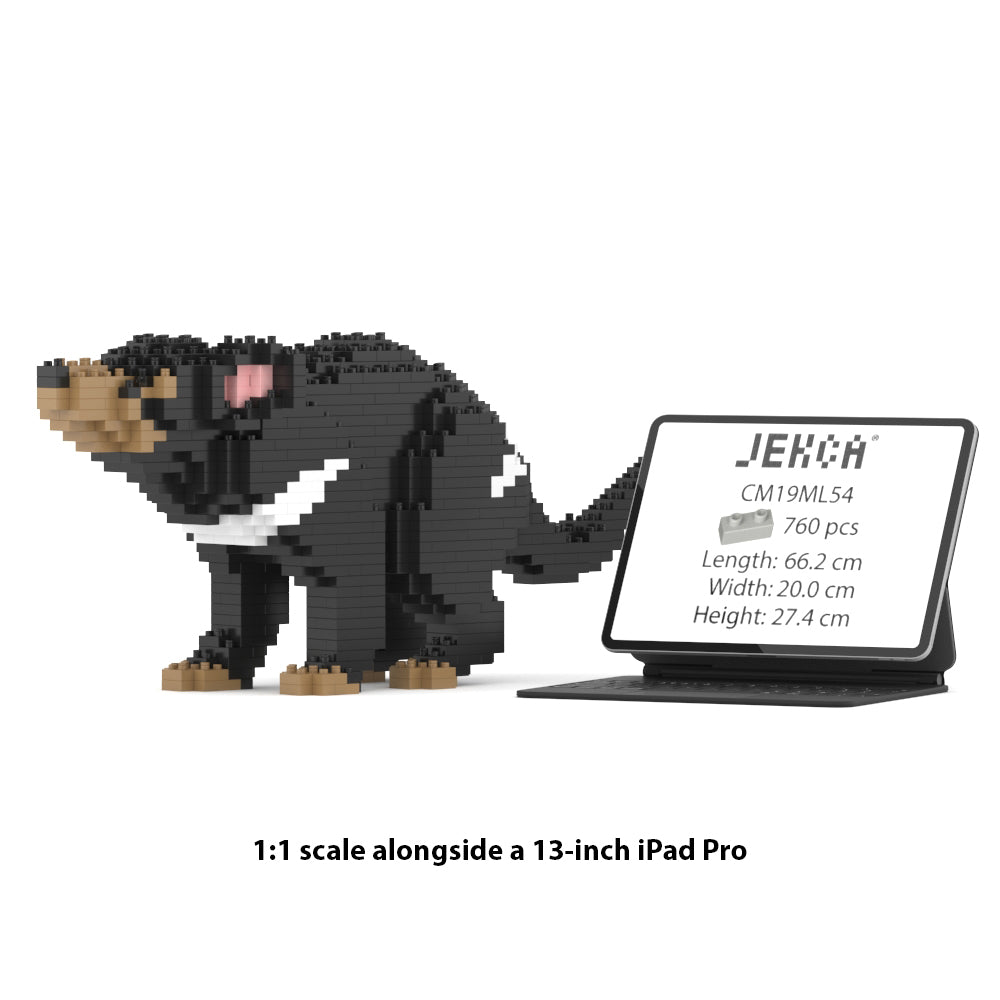 袋獾01