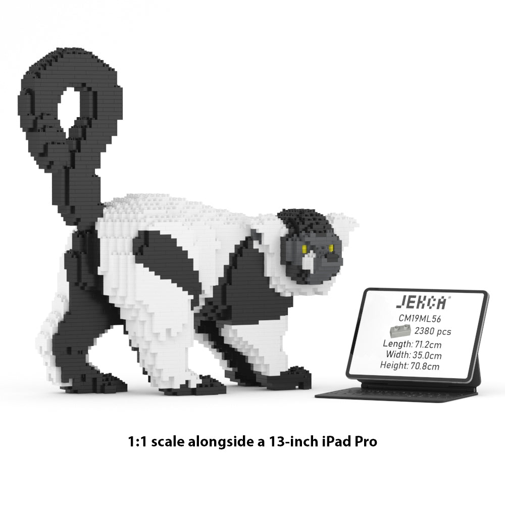 領狐猴01