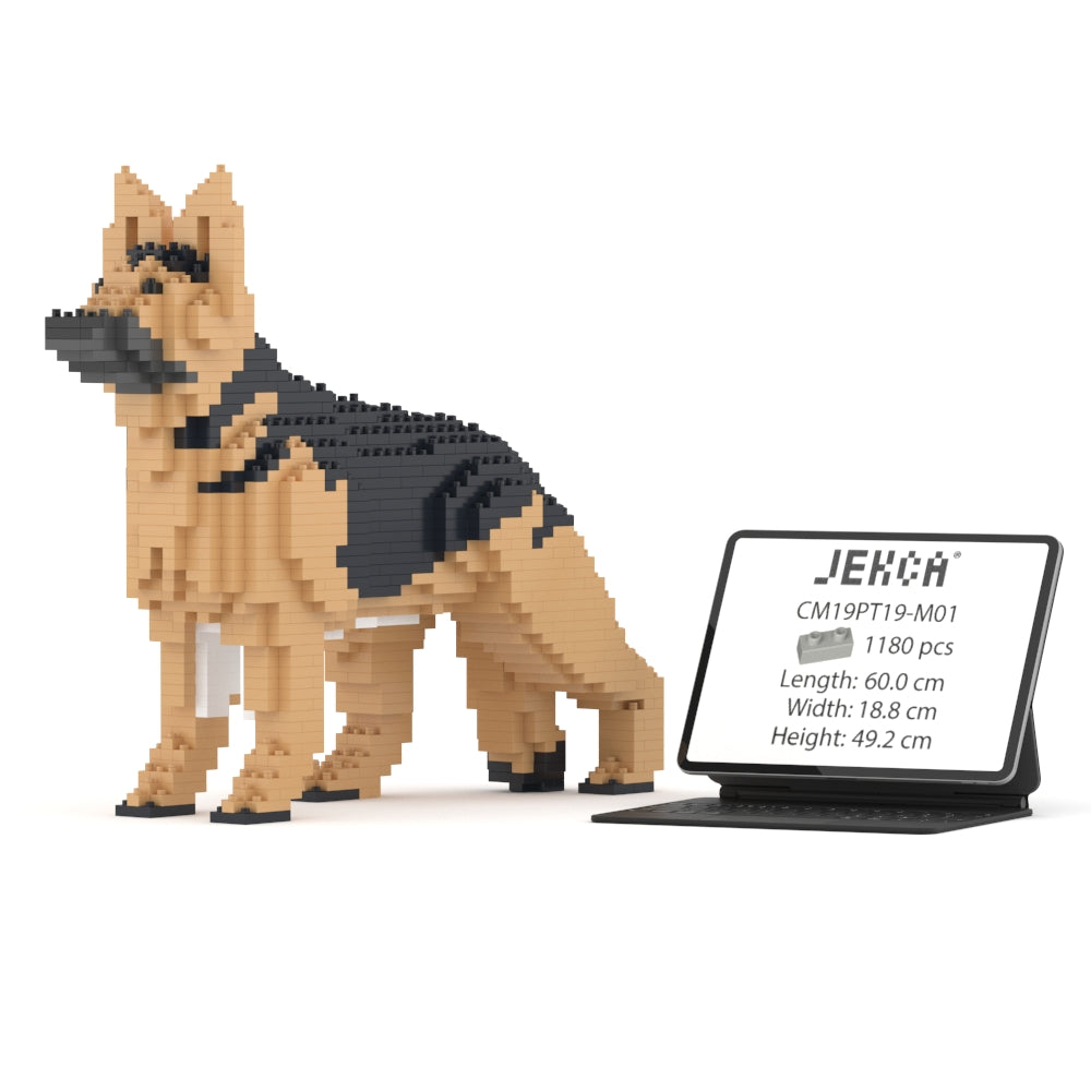德國牧羊犬01-M01