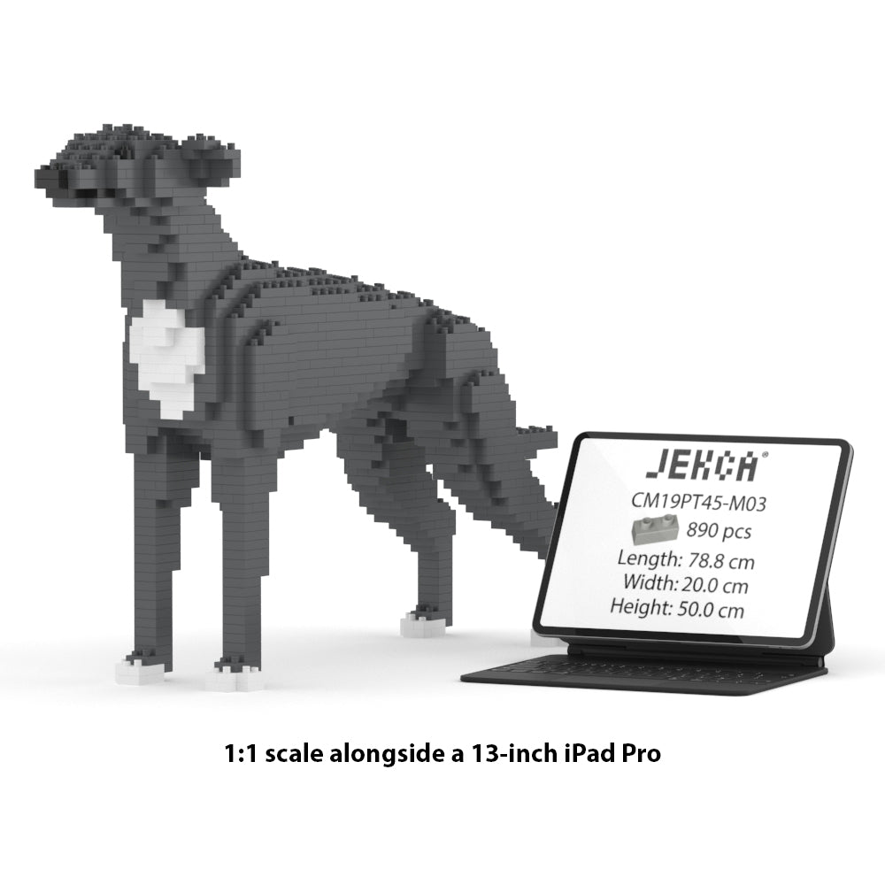 格雷伊獵犬01-M03