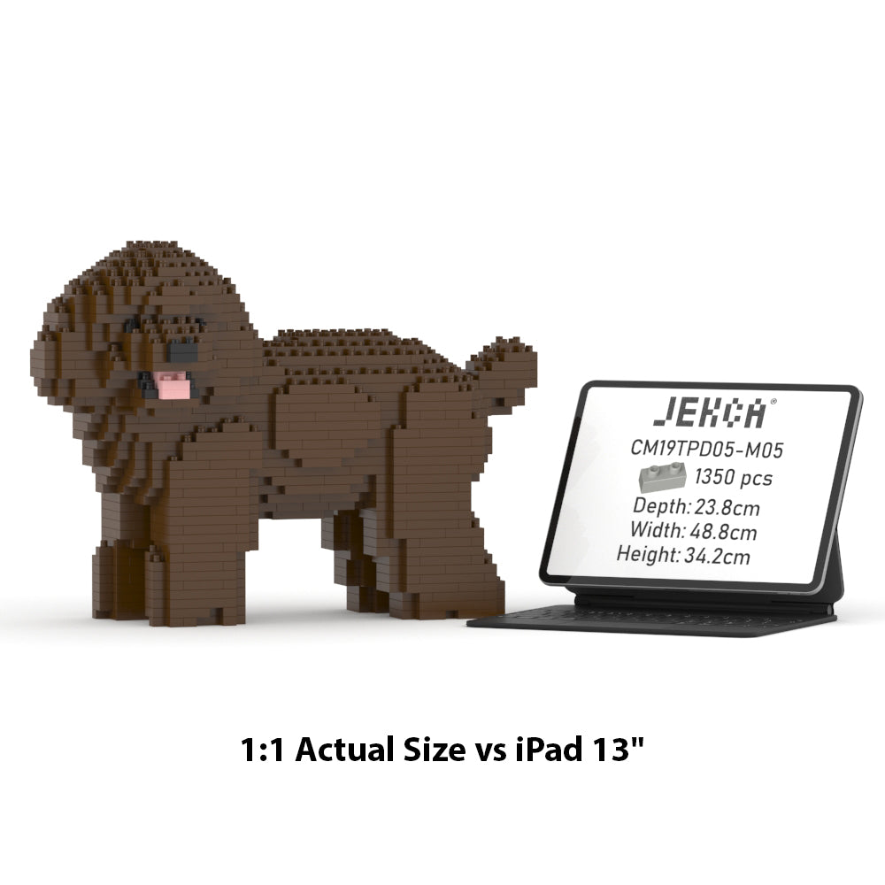 Toy Poodle 05-M05