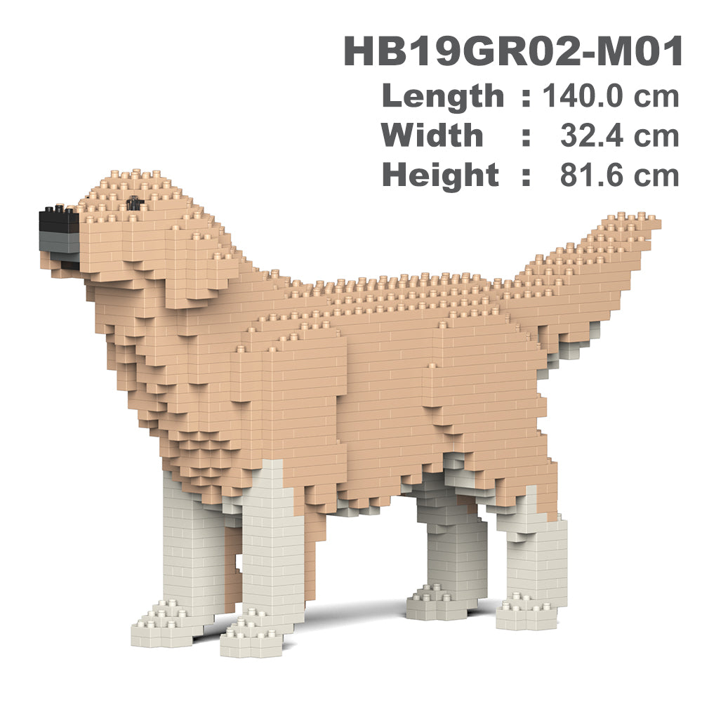 Golden Retriever 02-M01