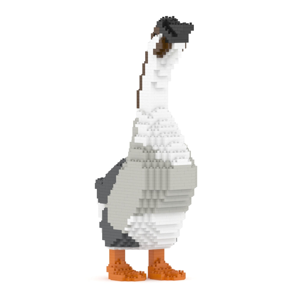 鵝01