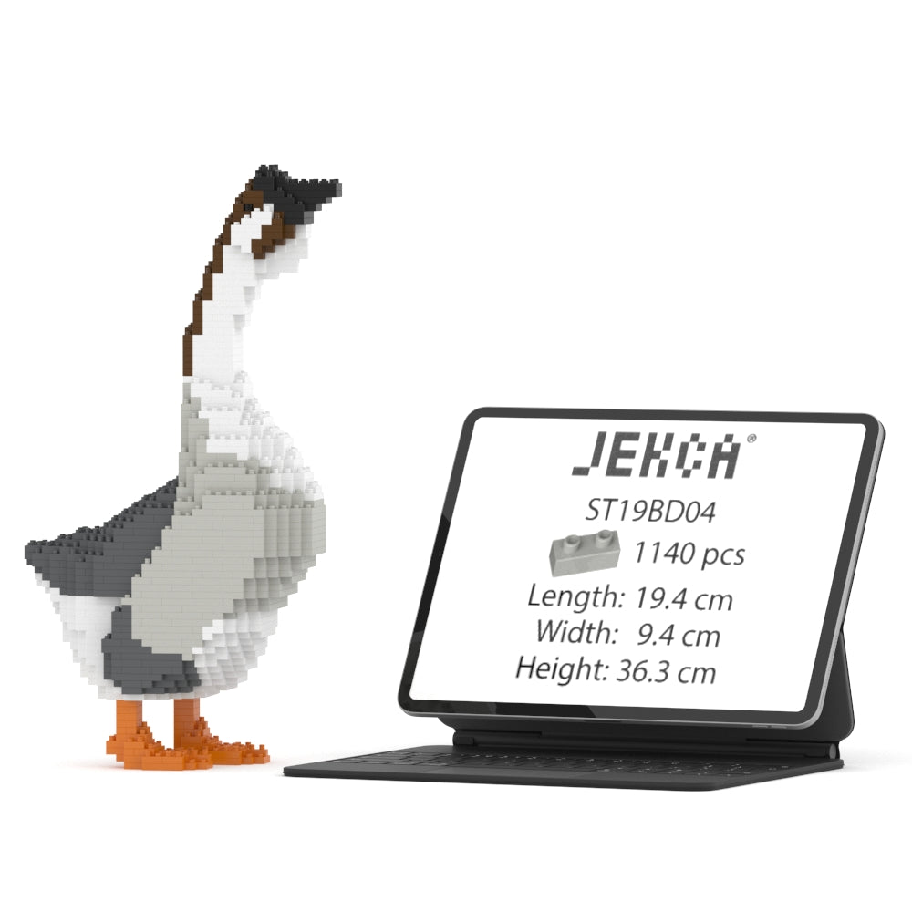 鵝01