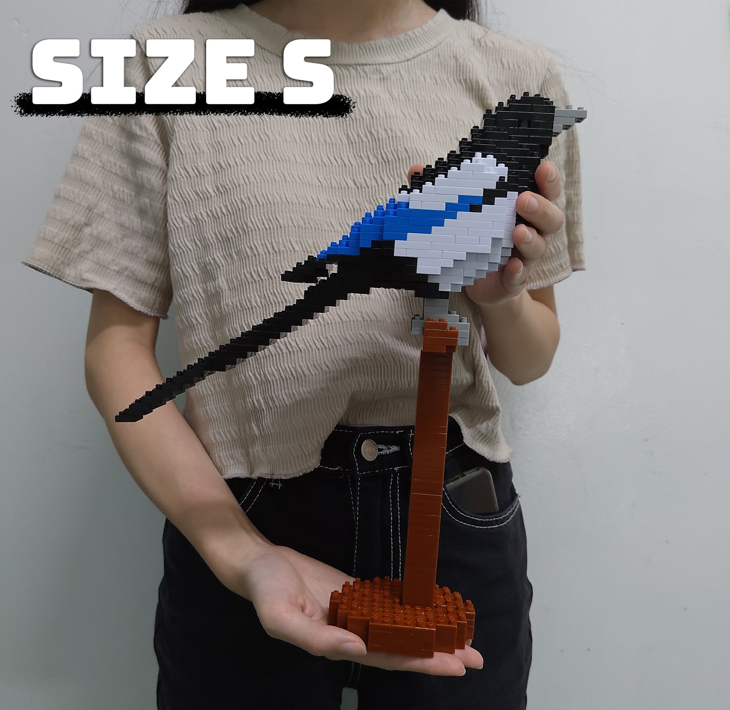 喜鵲01S