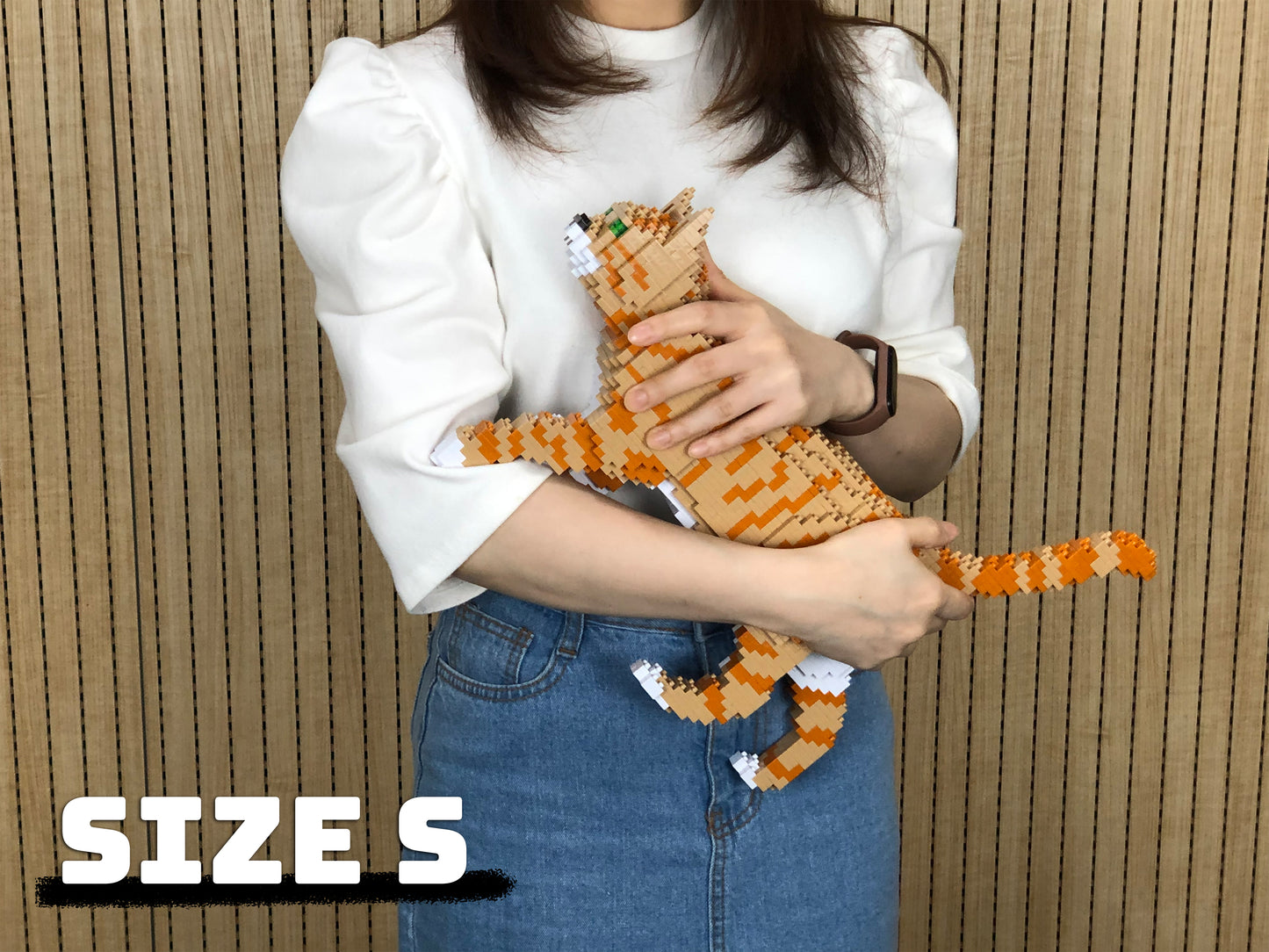 Cat 03S-M01B (version 2024)