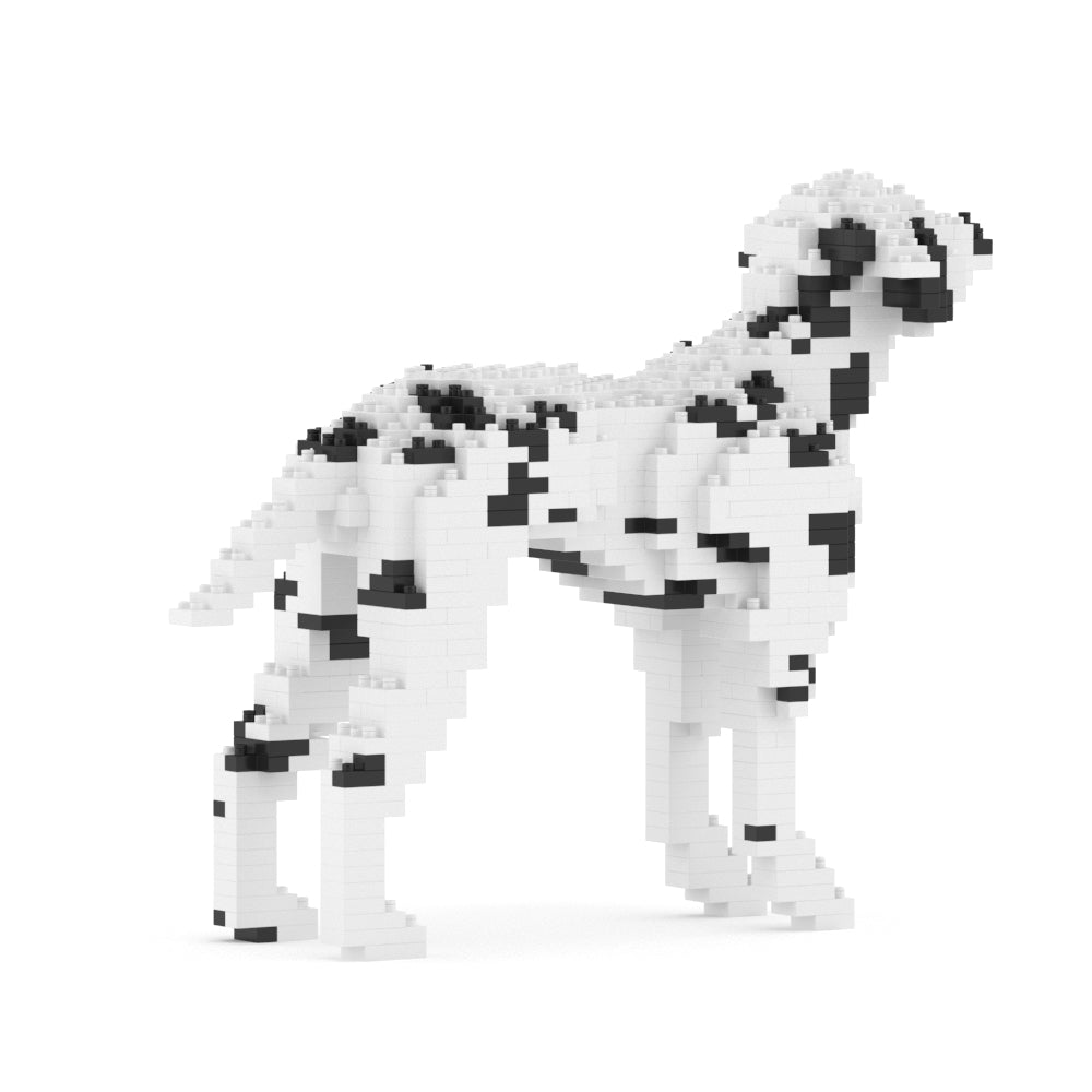 斑點狗01-M01