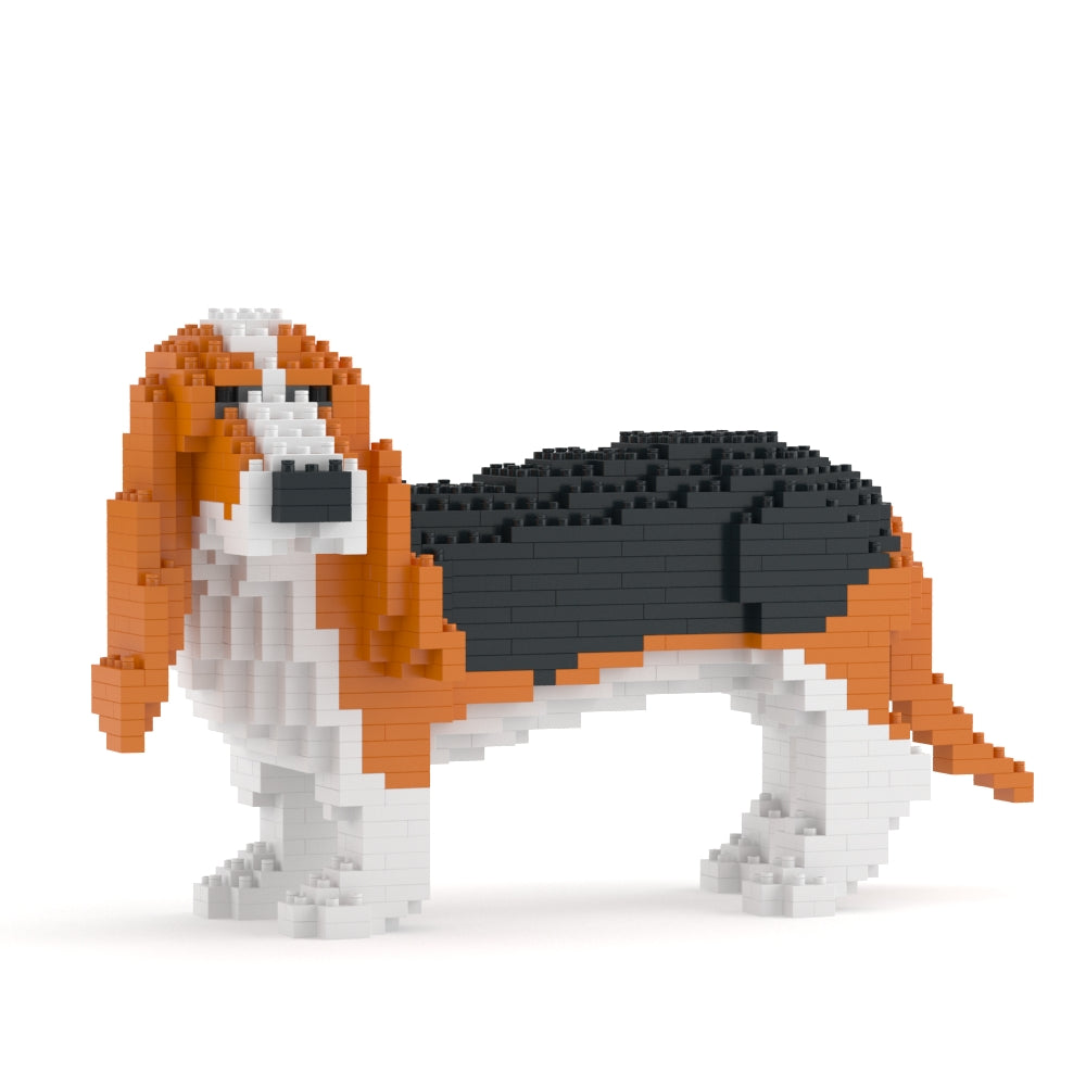 巴吉度獵犬01-M01