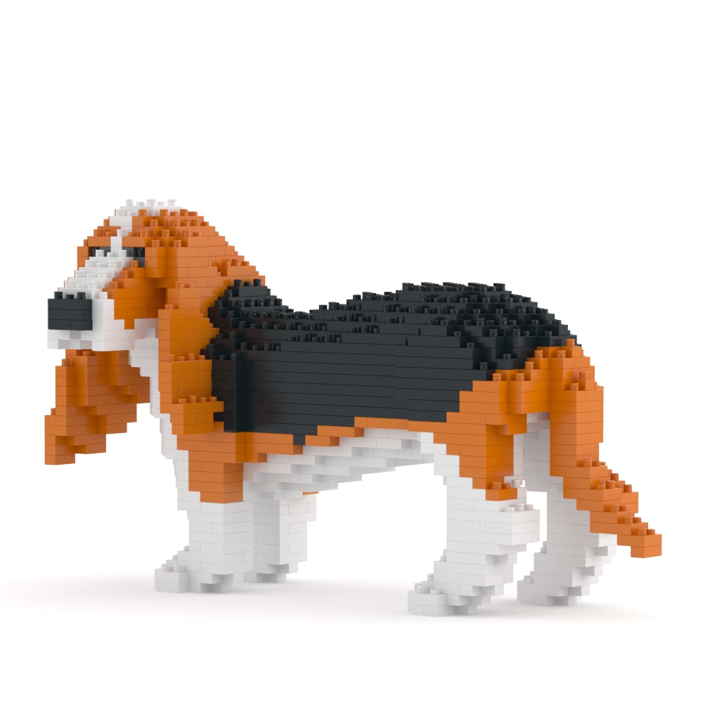 巴吉度獵犬01-M01