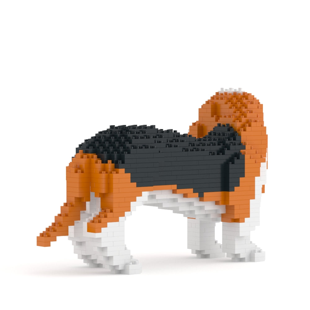 巴吉度獵犬01-M01
