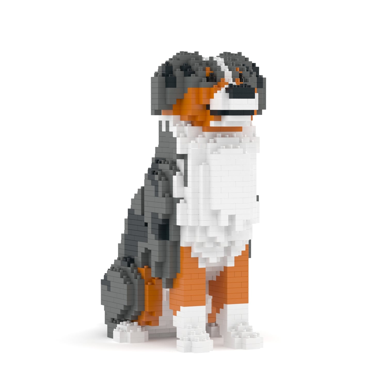 澳洲牧羊犬01-M01B