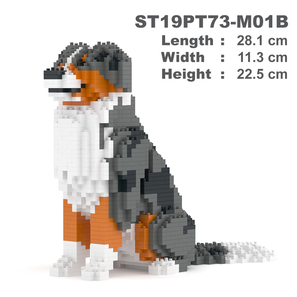 澳洲牧羊犬01-M01B