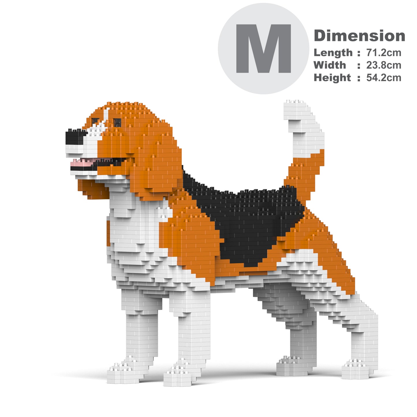 小獵犬03