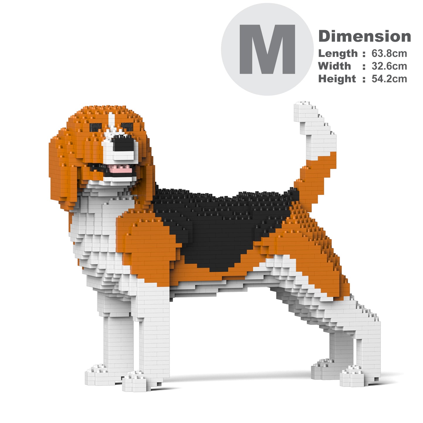 小獵犬04