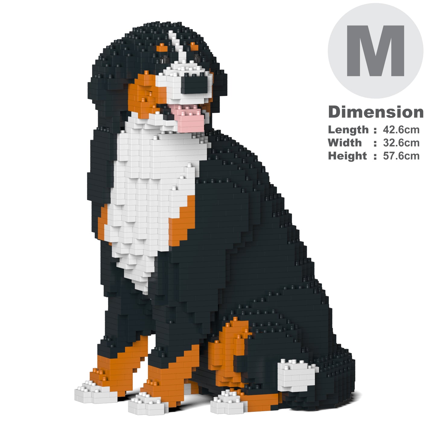 Bernese Mountain Dog 05B