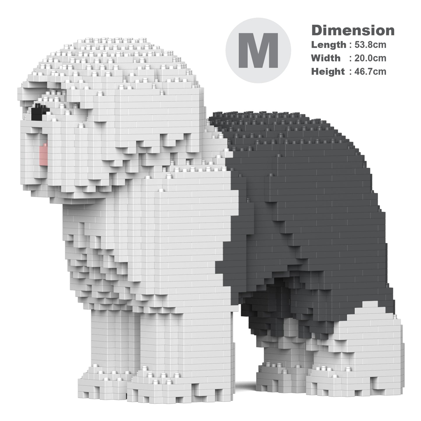 古代牧羊犬01-M02