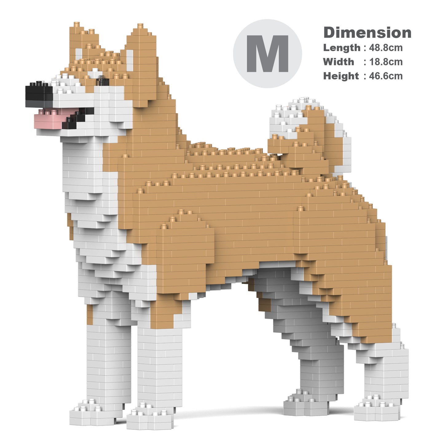 秋田犬01-M02
