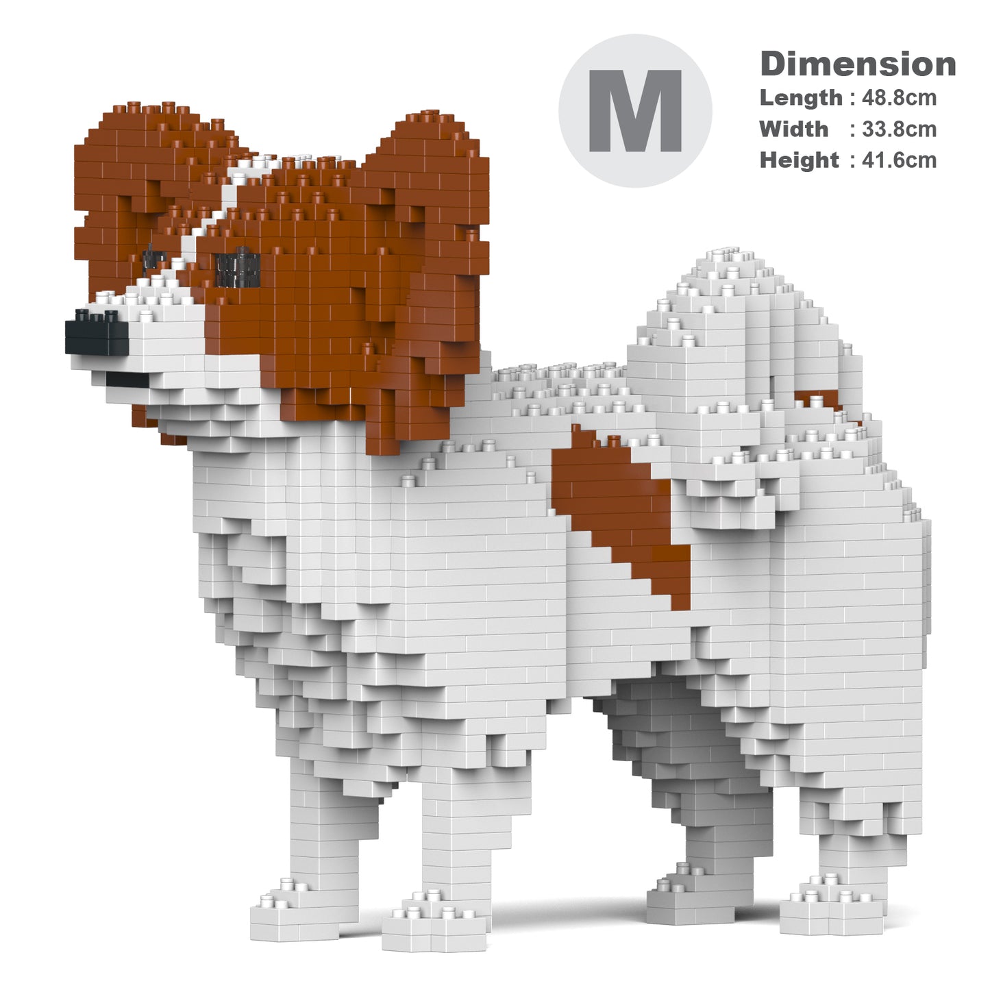 蝴蝶犬01-M02