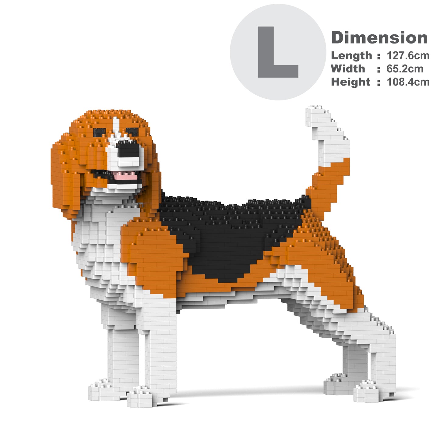 小獵犬04