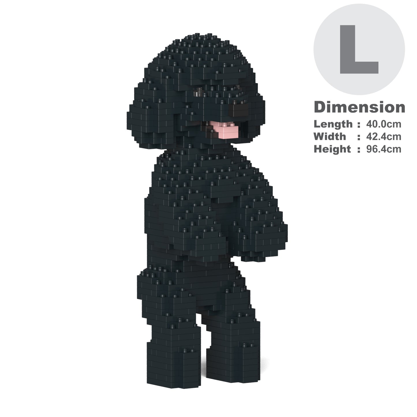 Toy Poodle 04-M02