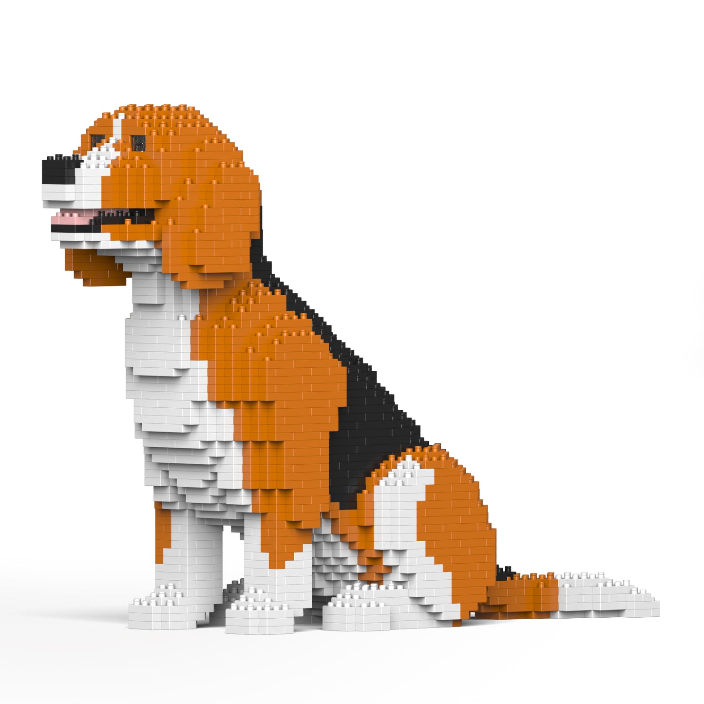 小獵犬02
