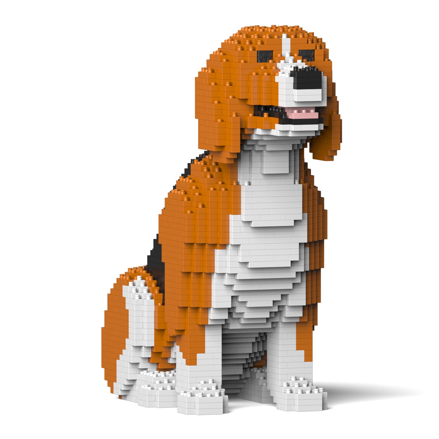 小獵犬02