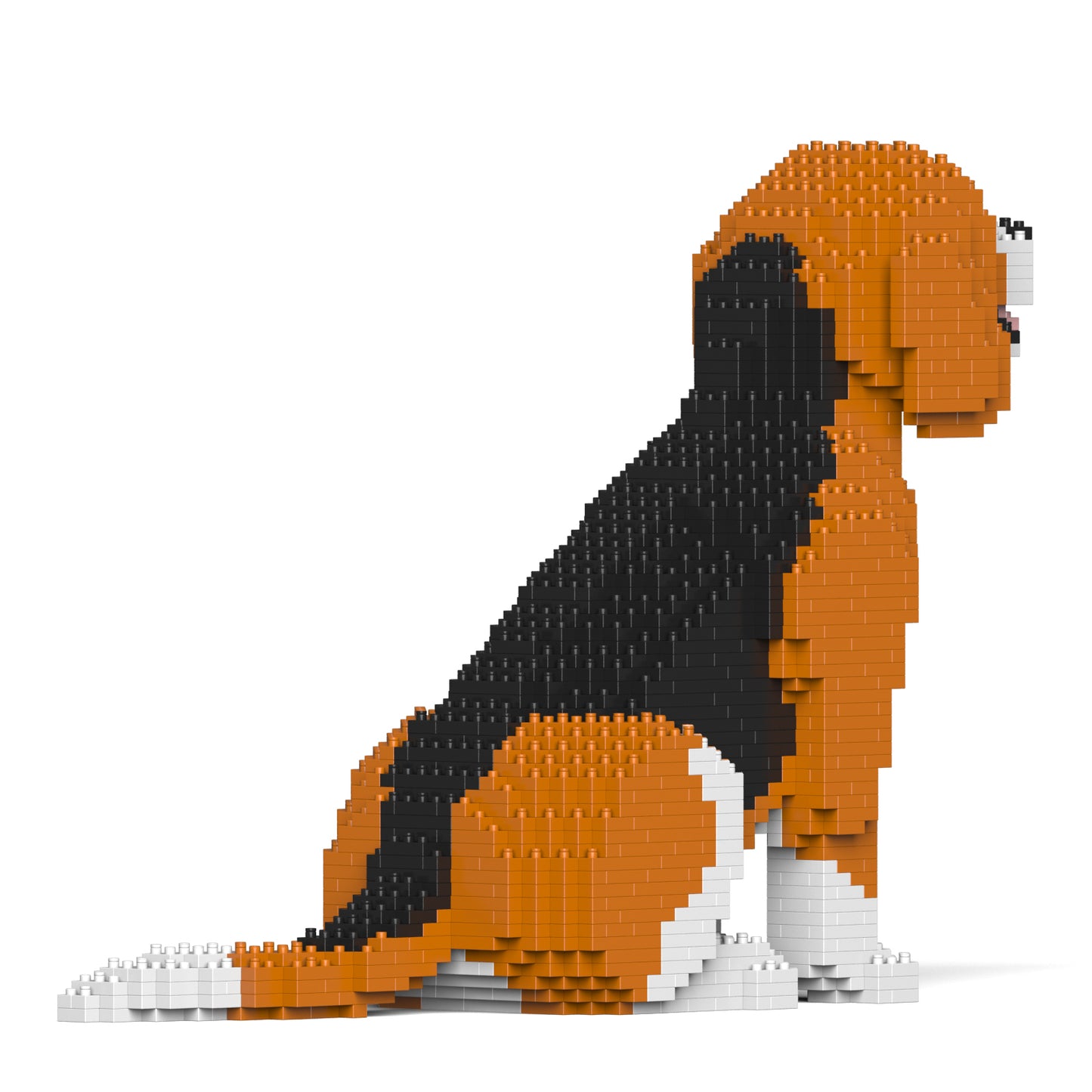 小獵犬02