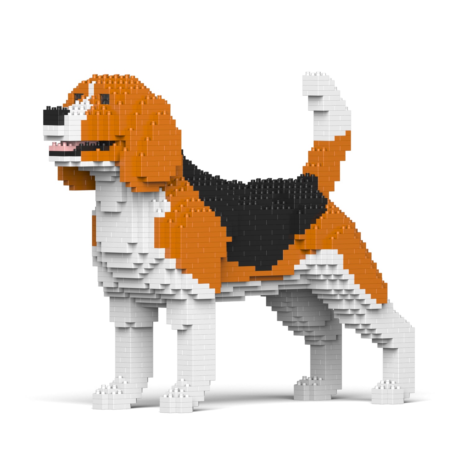 小獵犬03