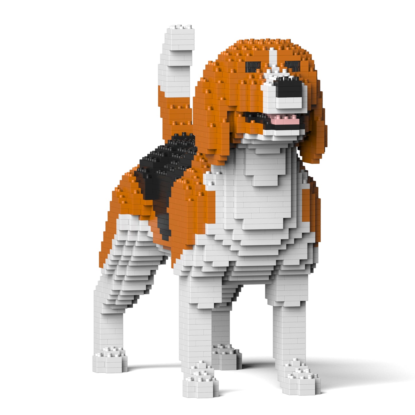 小獵犬03