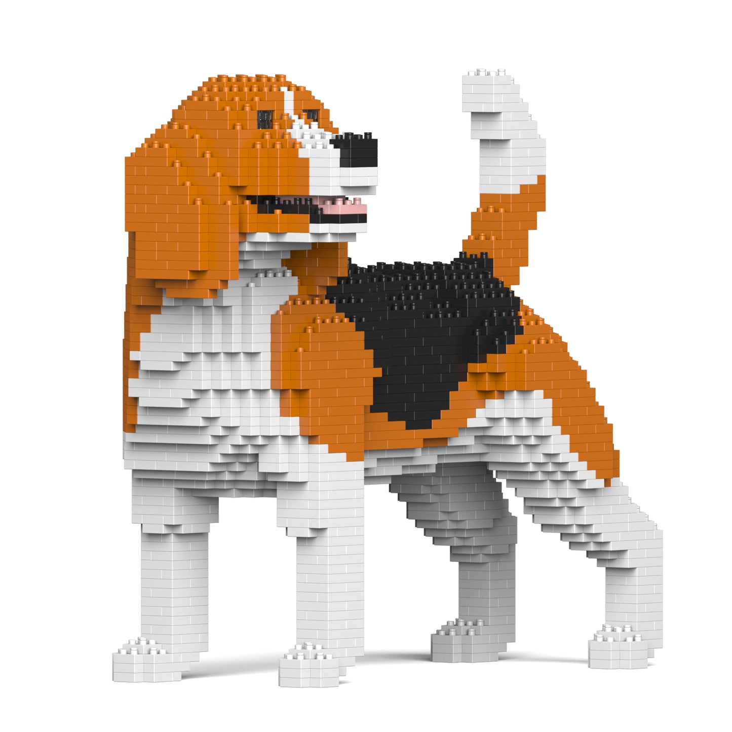 小獵犬04