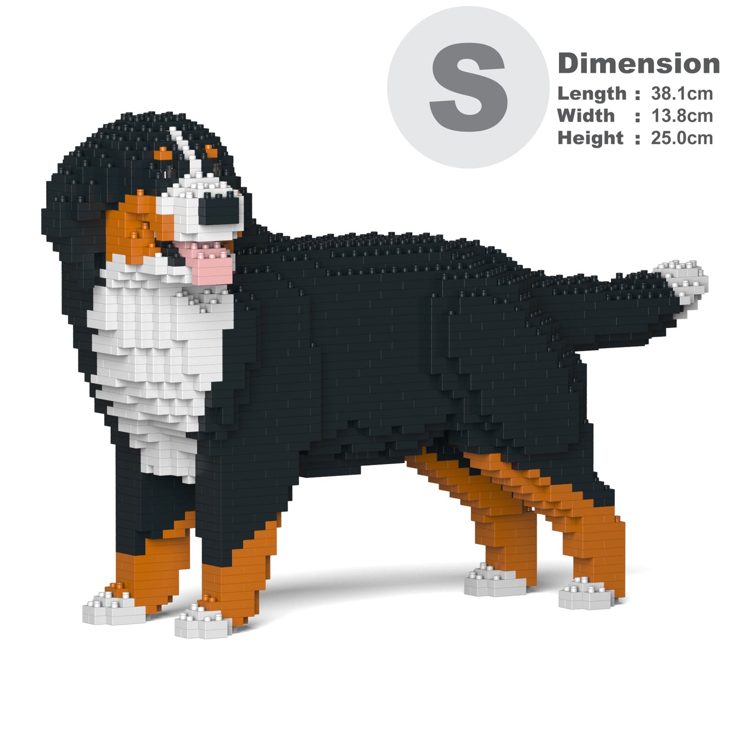 Bernese Mountain Dog 03B