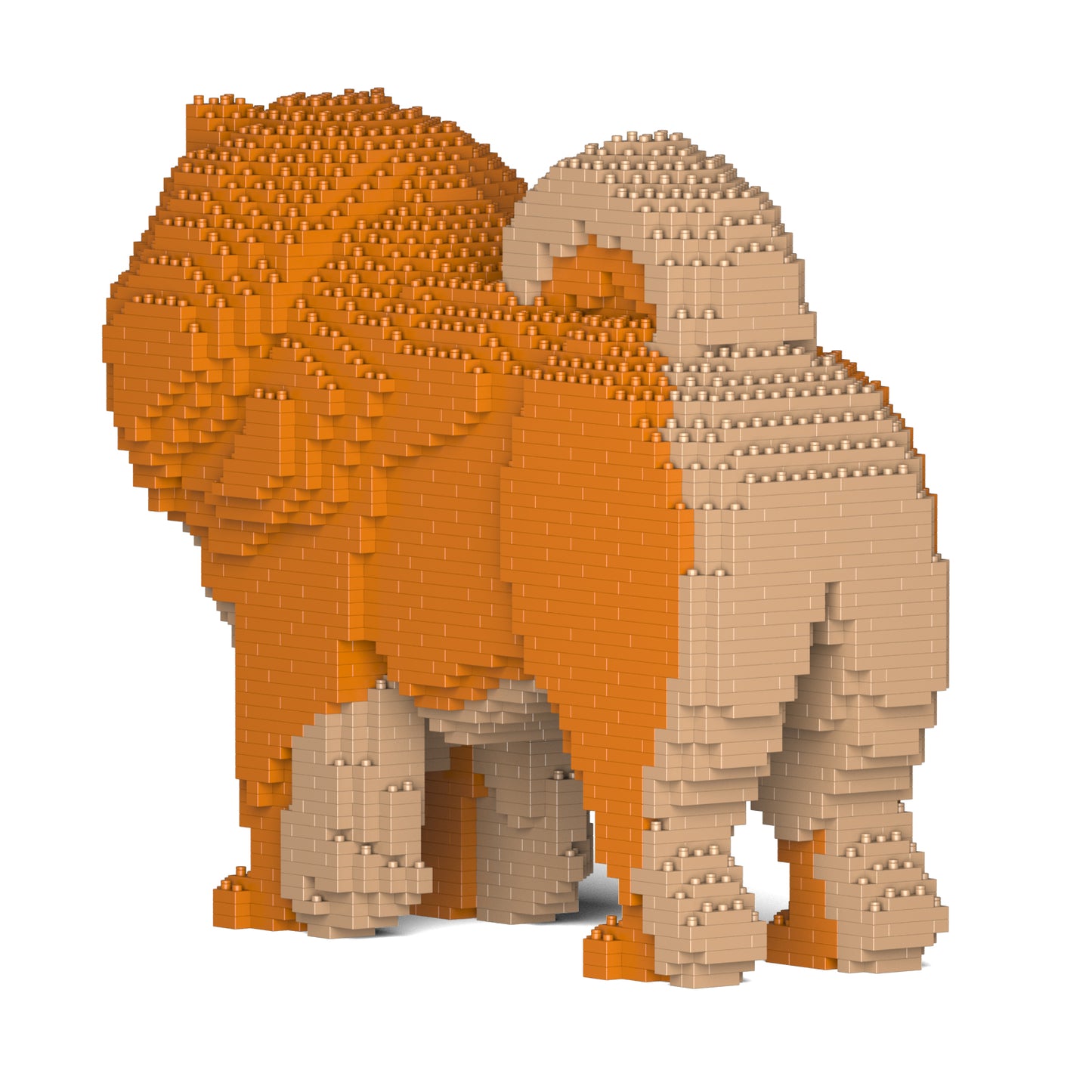 鬆獅狗02-M02