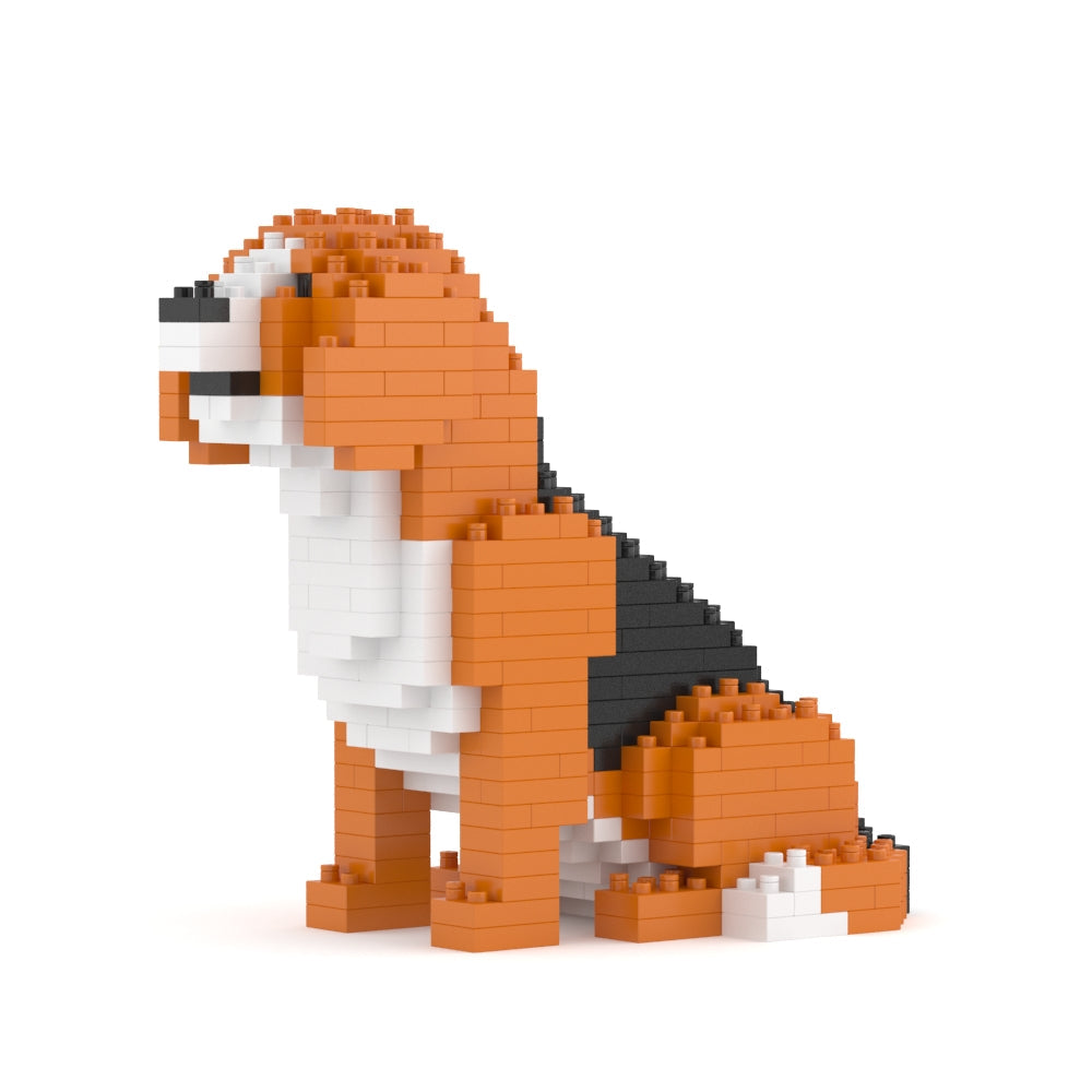 迷你小獵犬01