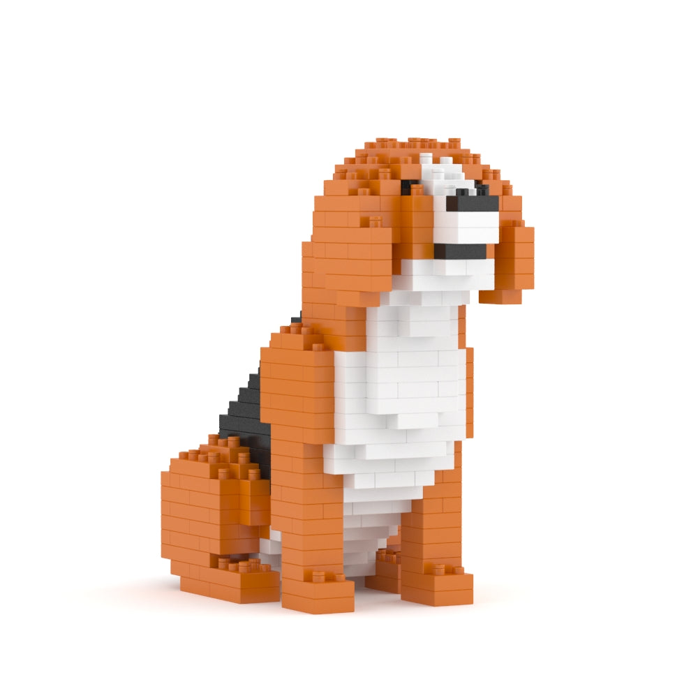 迷你小獵犬01