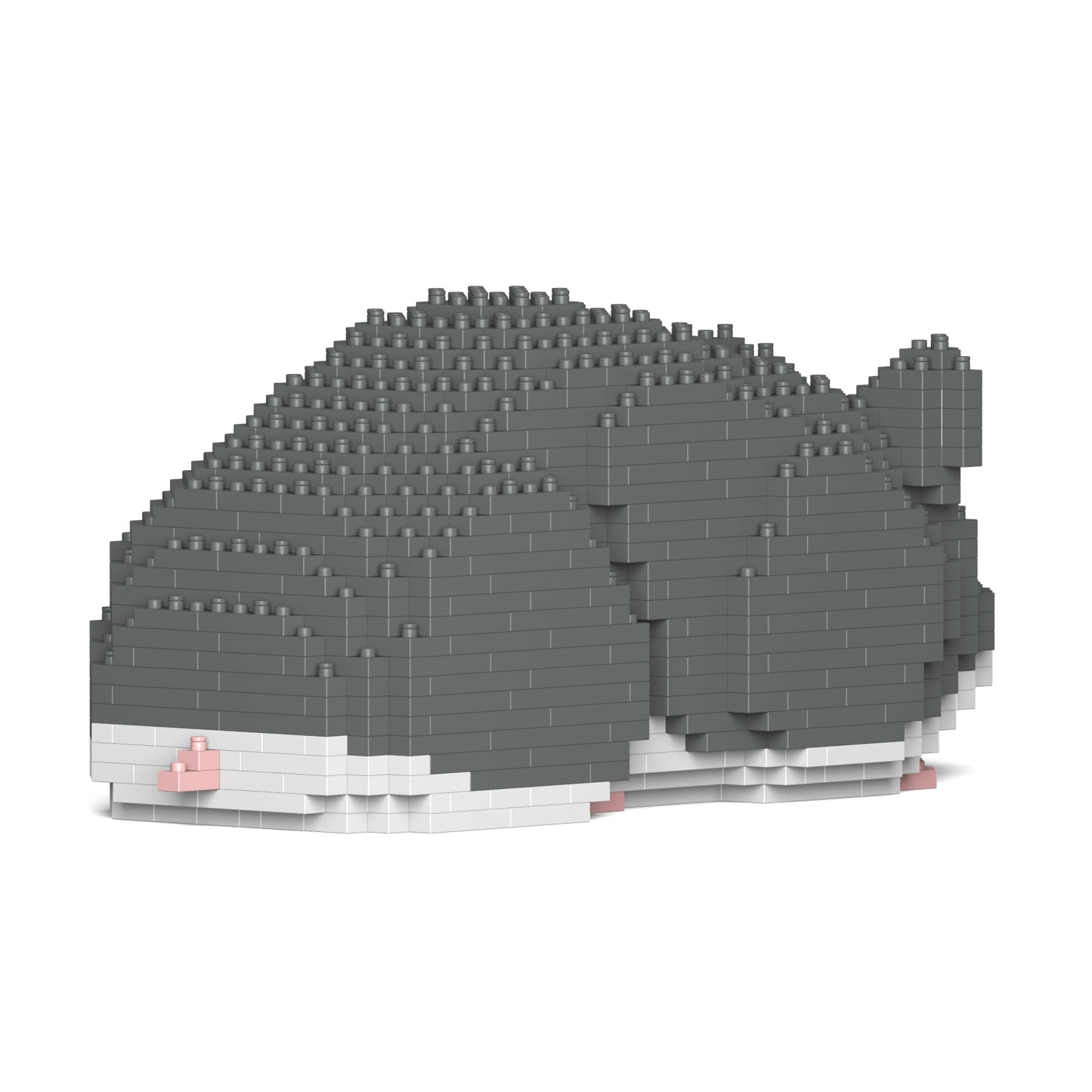 倉鼠02-M02