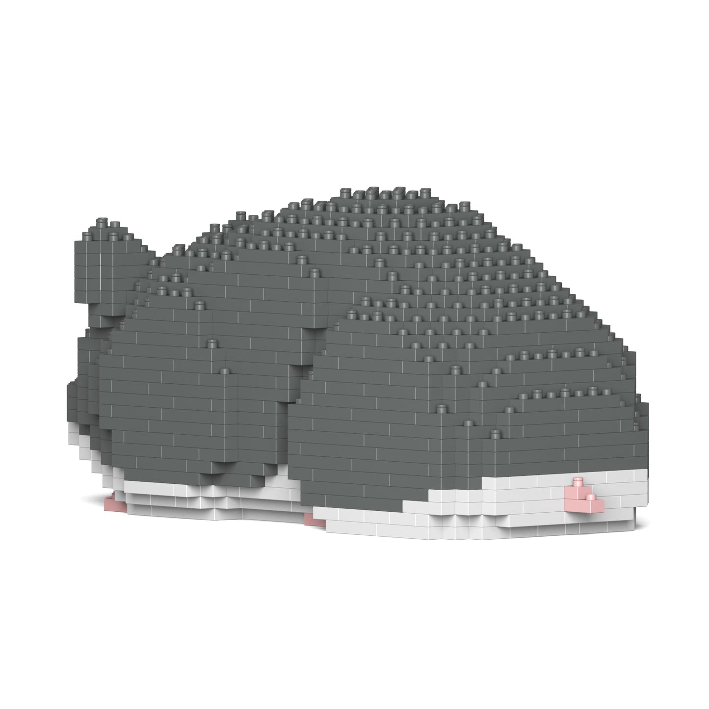 倉鼠02-M02