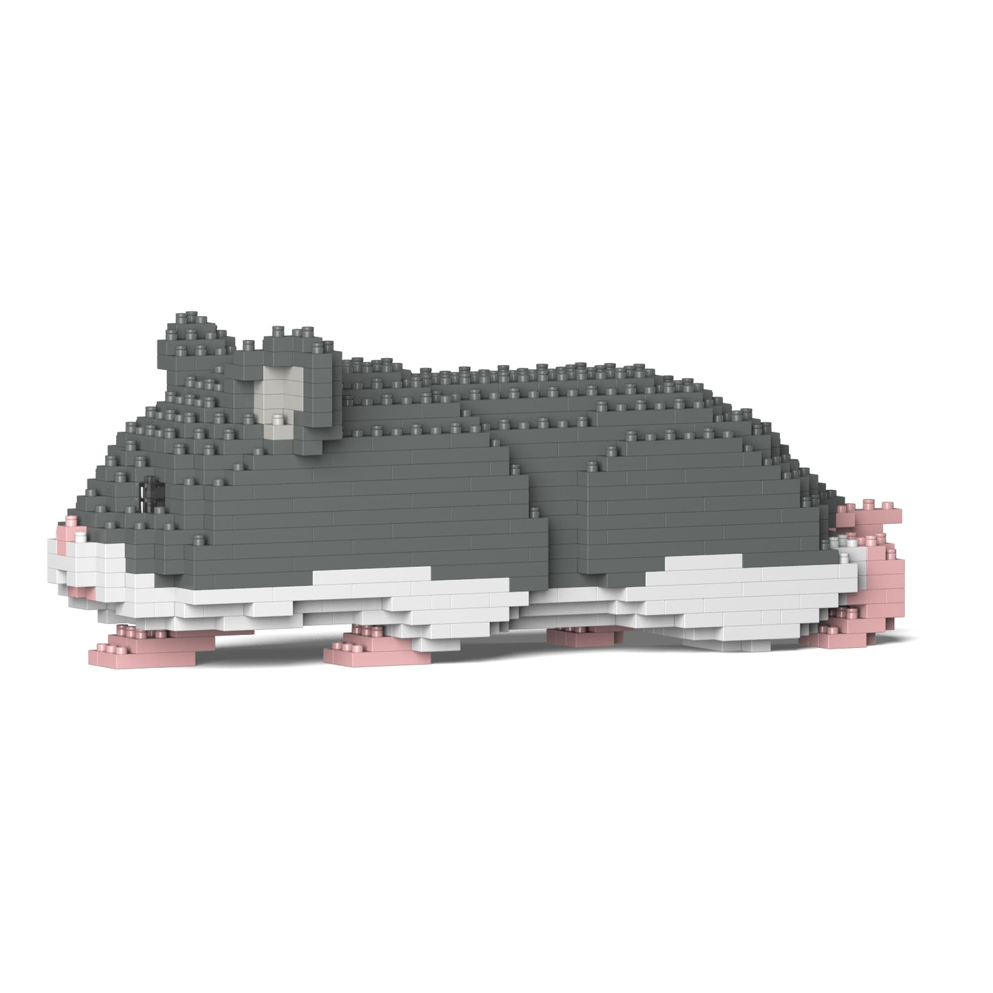 倉鼠03-M02