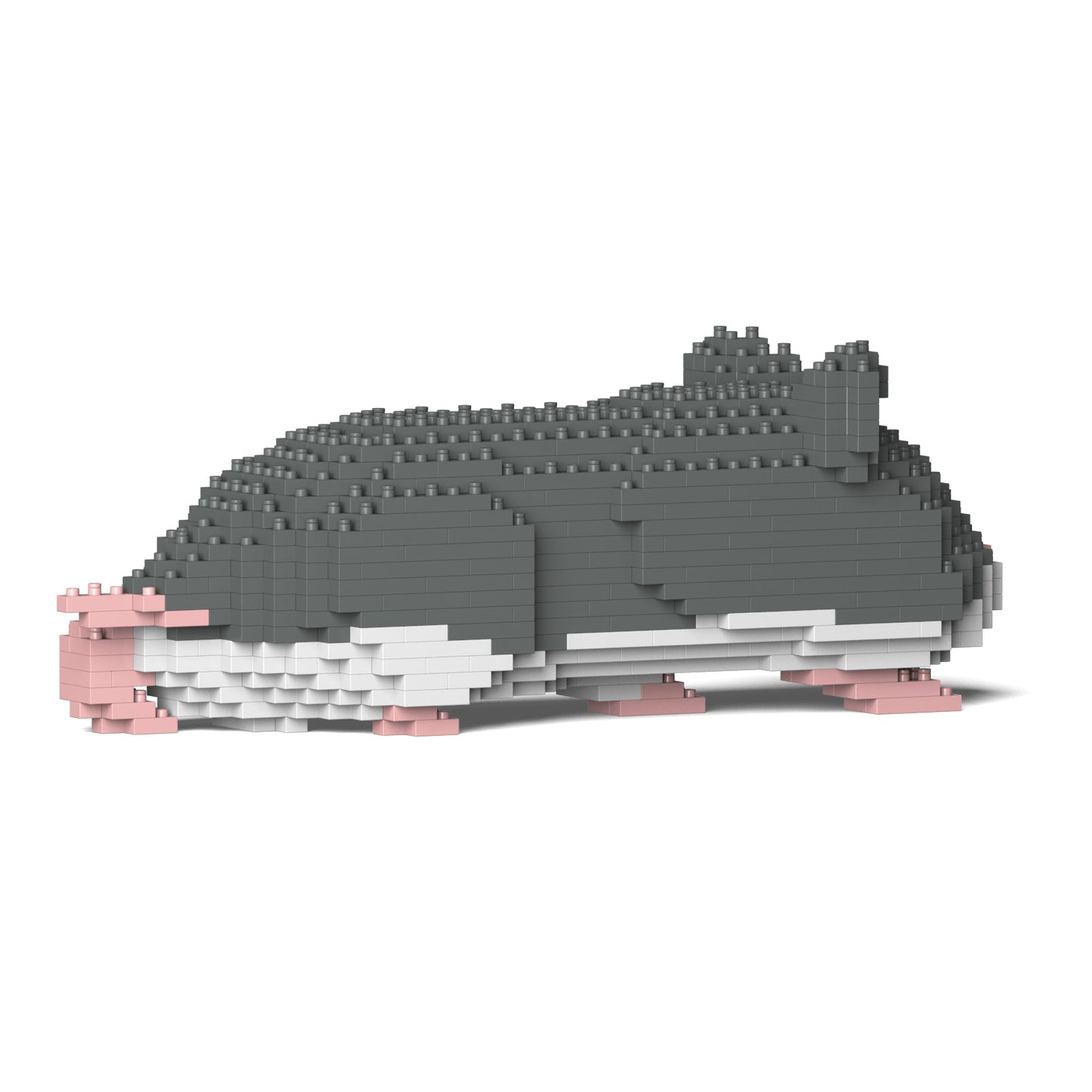 倉鼠03-M02