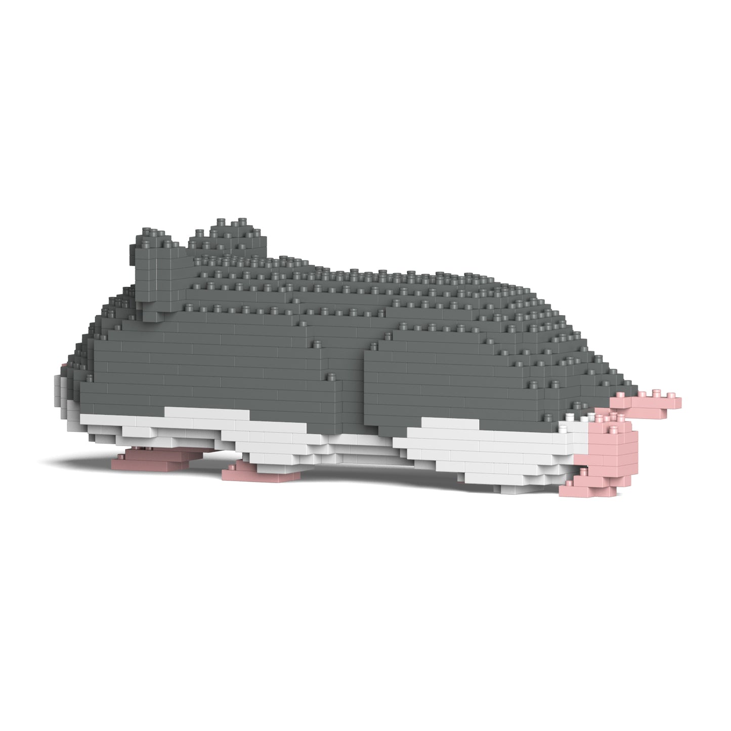 倉鼠03-M02