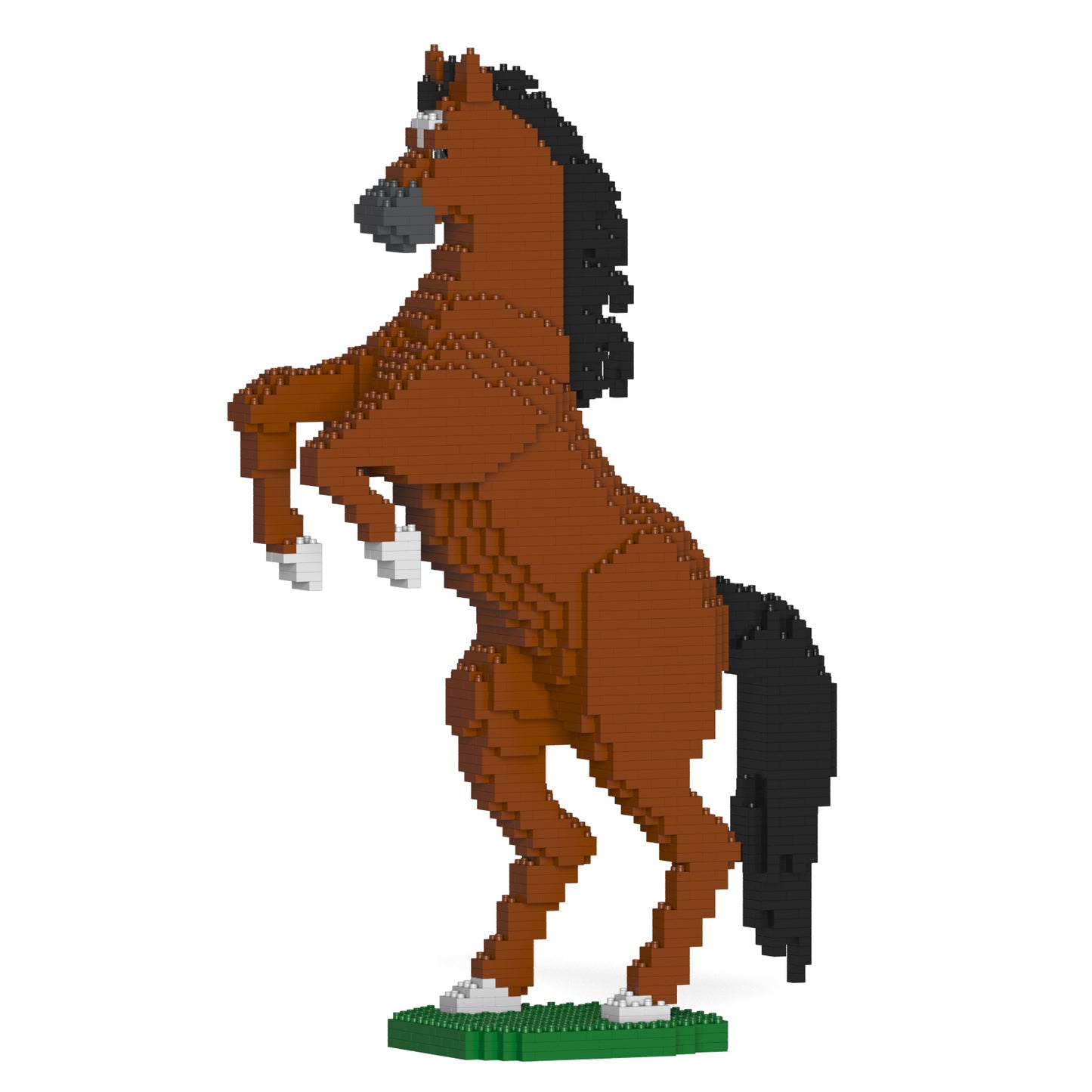Horse 03-M01