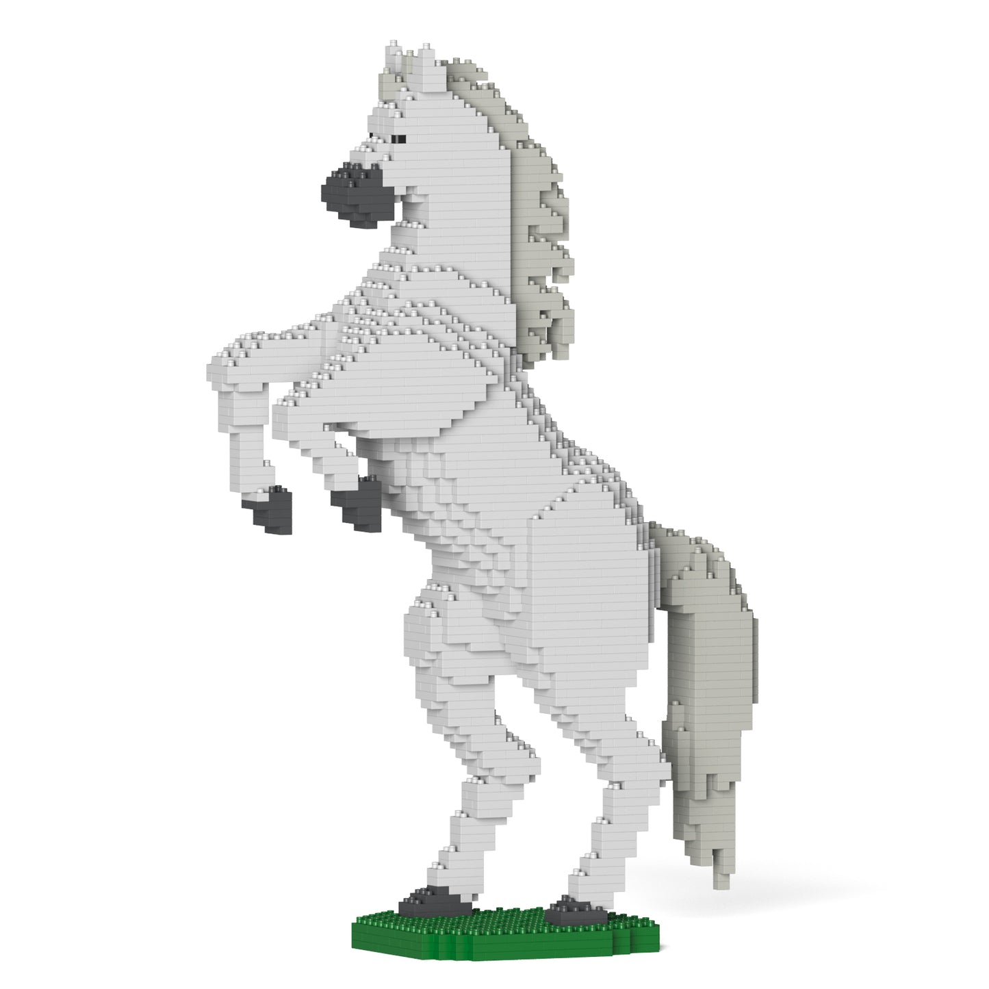 Horse 03-M02