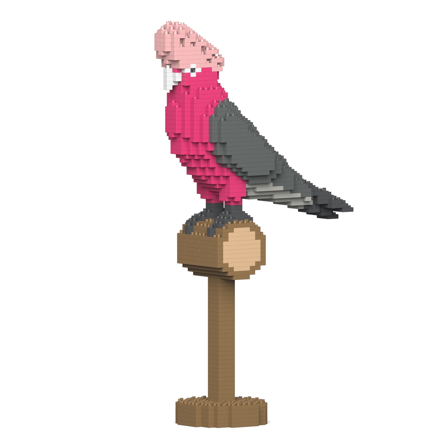粉紅鳳頭鸚鵡01S