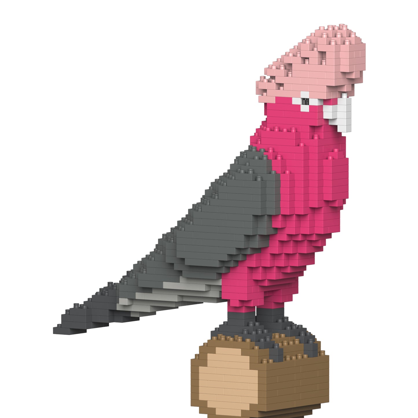 粉紅鳳頭鸚鵡01S