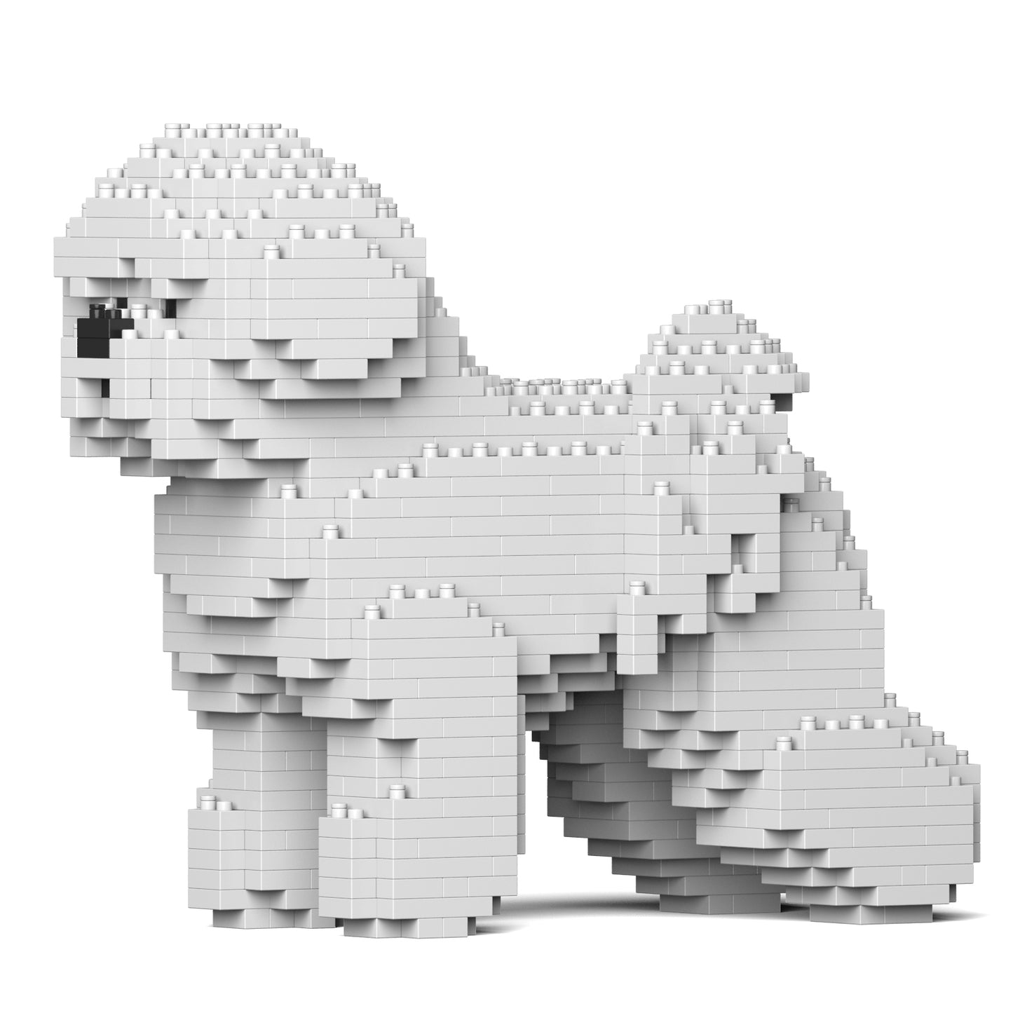 比熊犬01