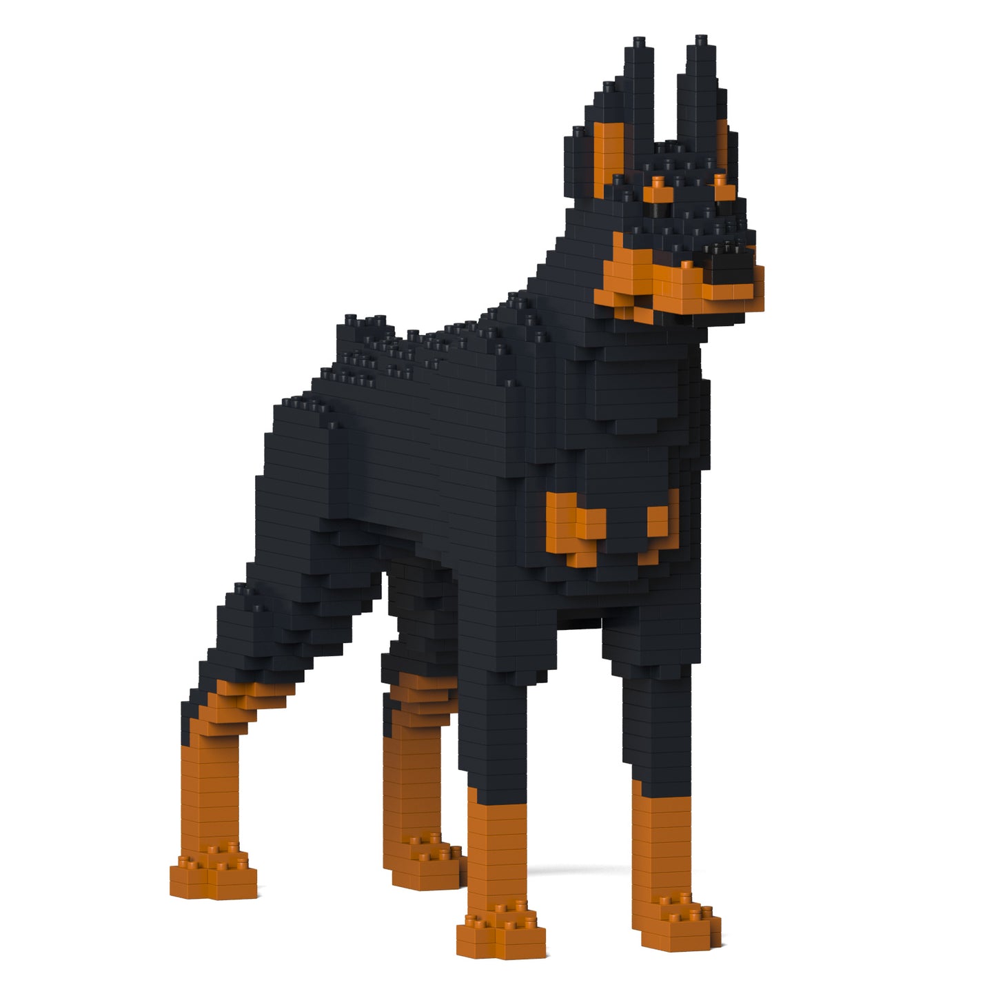杜賓犬01-M01