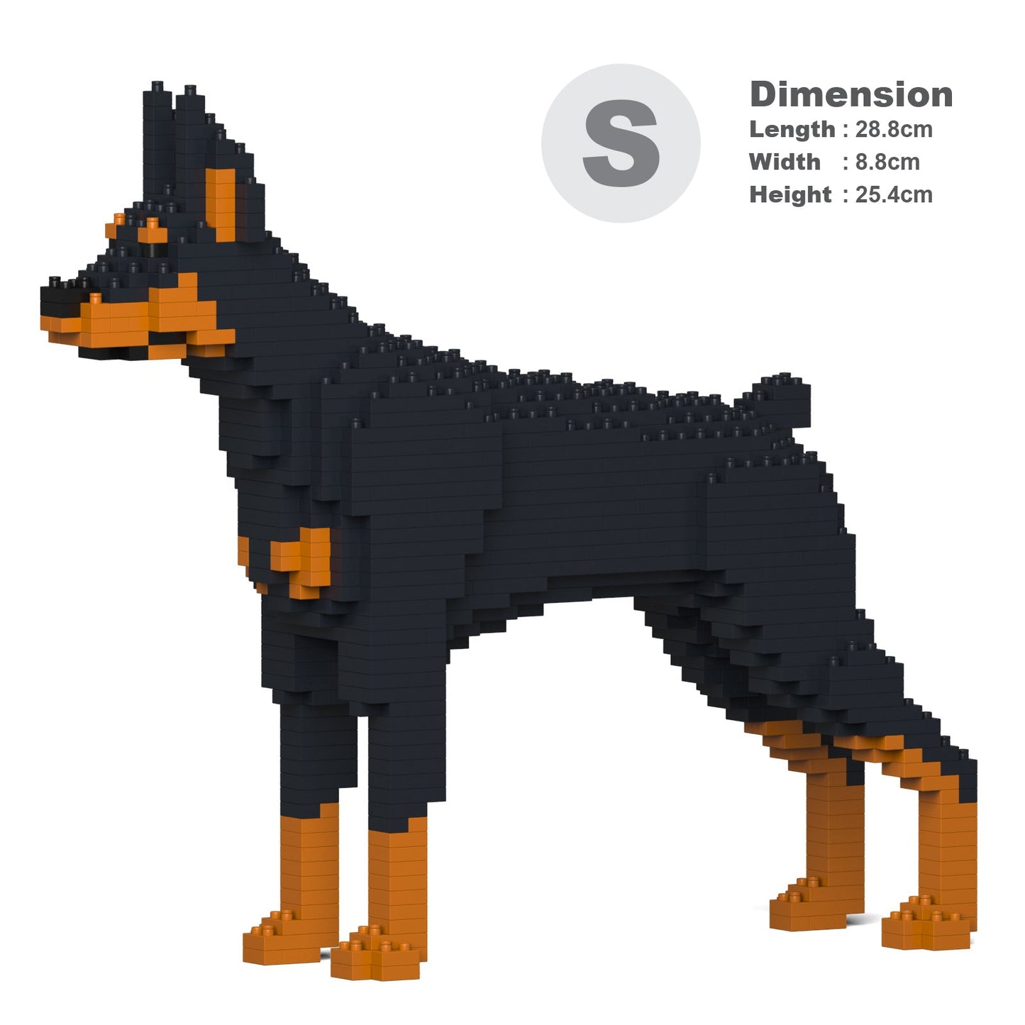 杜賓犬01-M01
