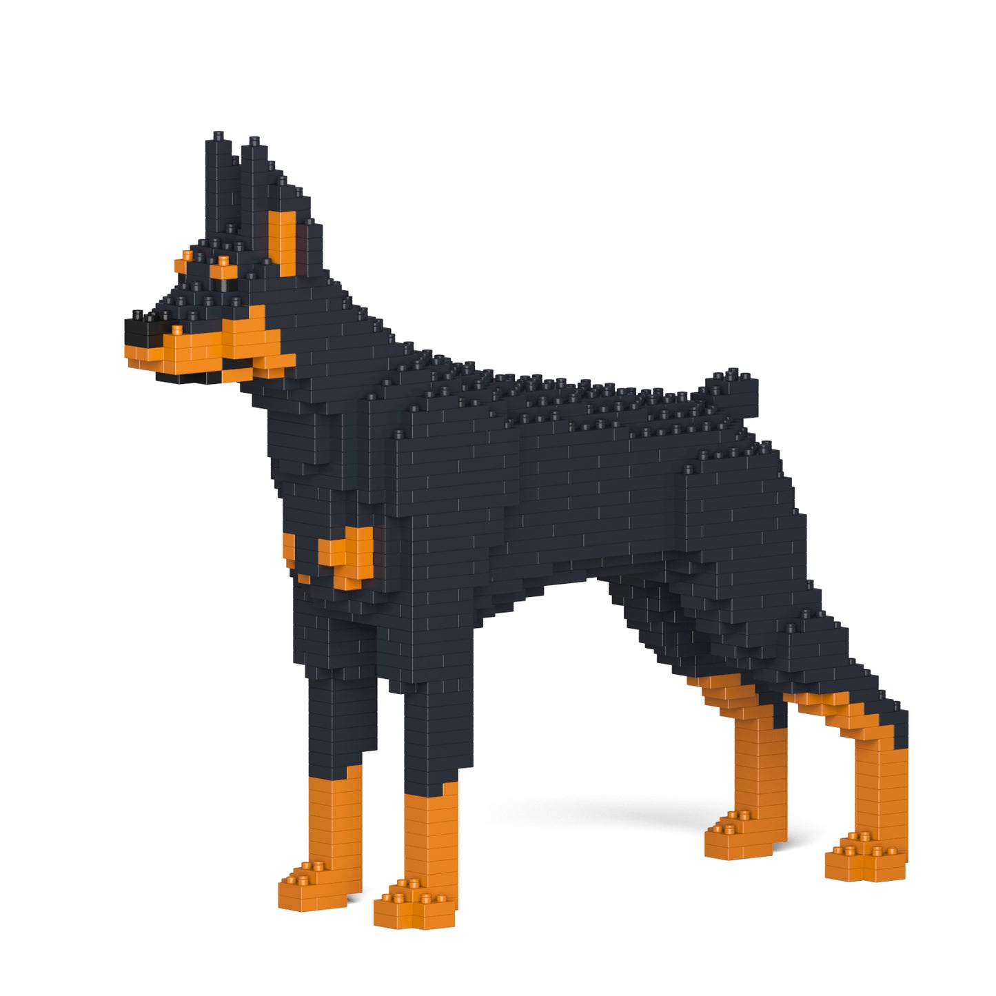 杜賓犬01-M01