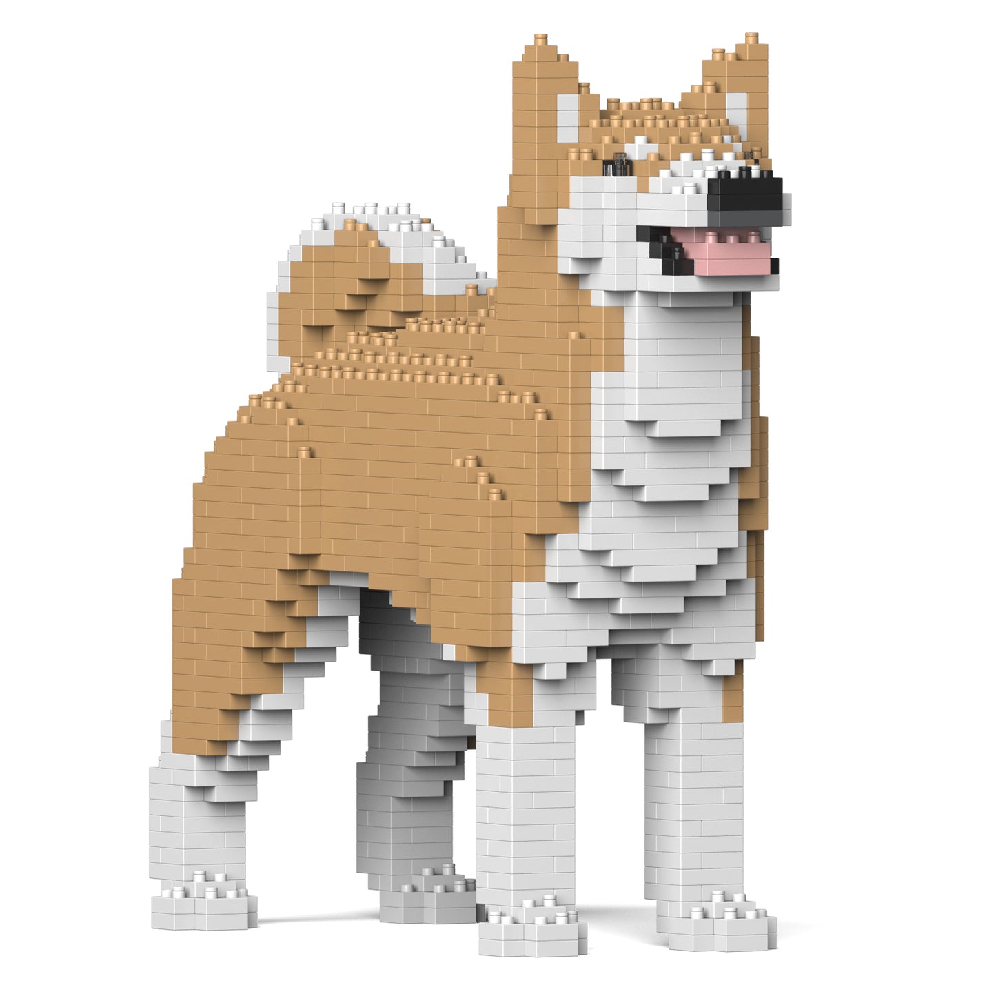 秋田犬01-M02